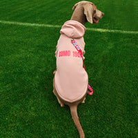 Felpa Cani Rosa Como 1907