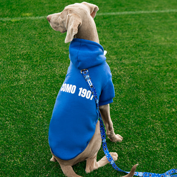 Felpa Cani Blu Como 1907
