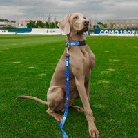 Guinzaglio Regular Blu Como 1907