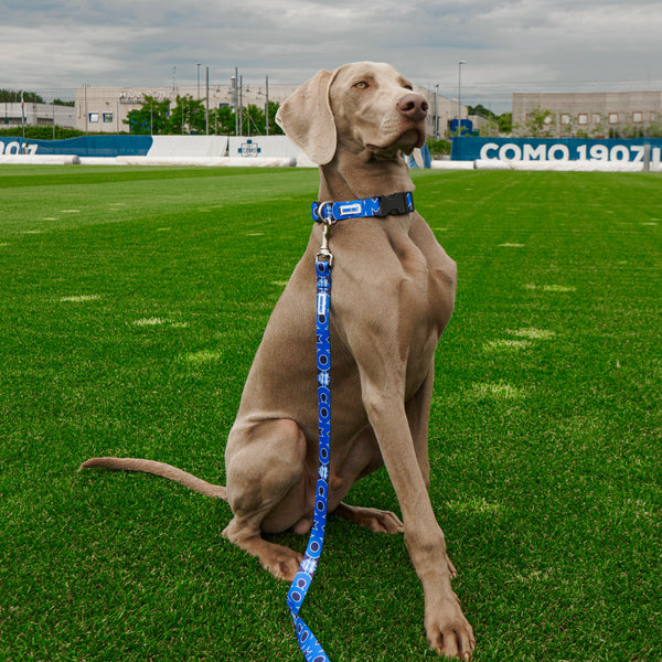 Guinzaglio Regular Blu Como 1907