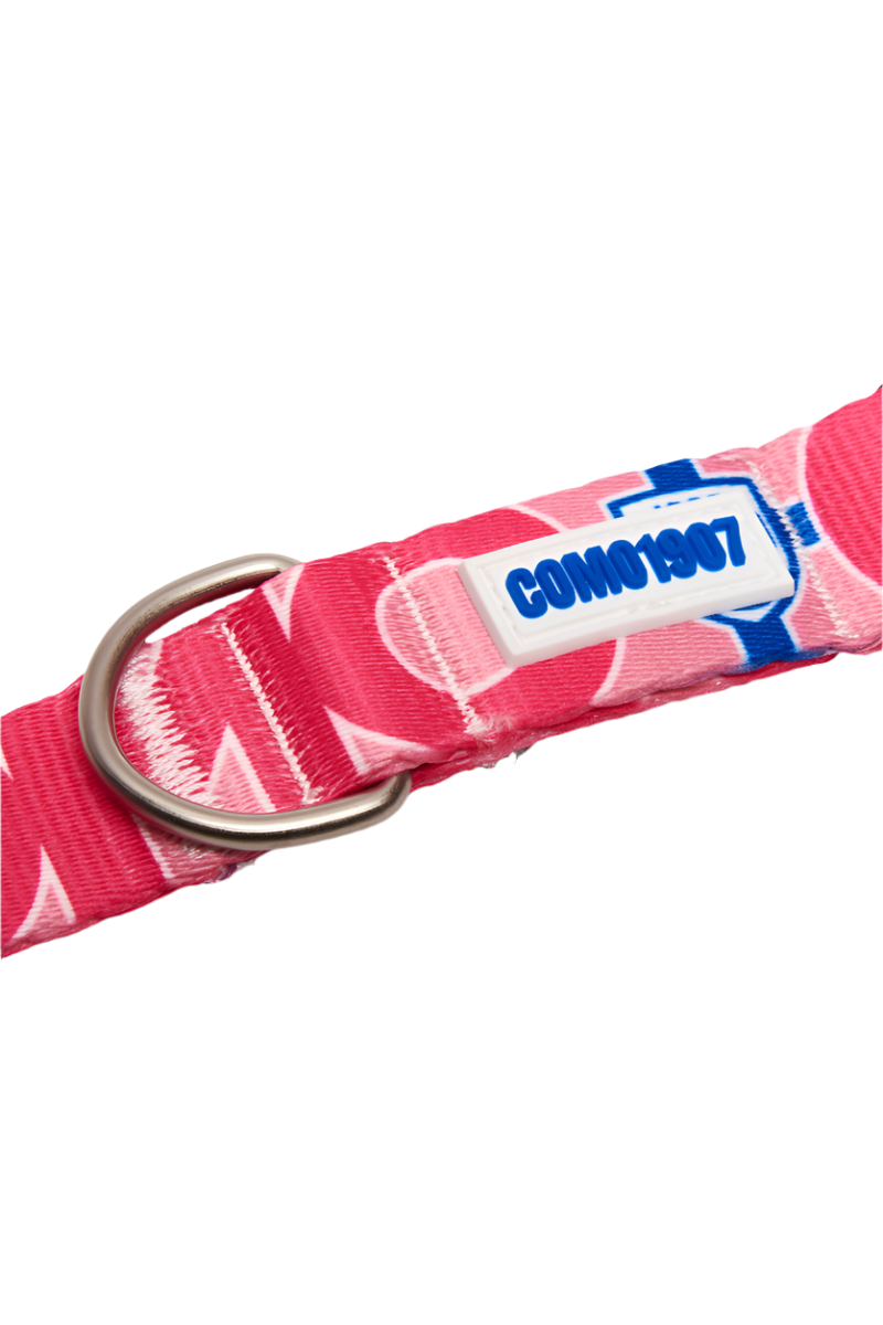 Collare Cani Rosa Como 1907