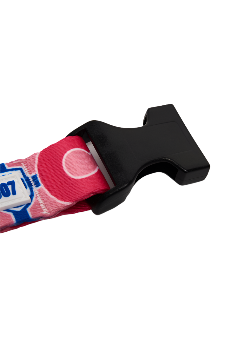 Collare Cani Rosa Como 1907
