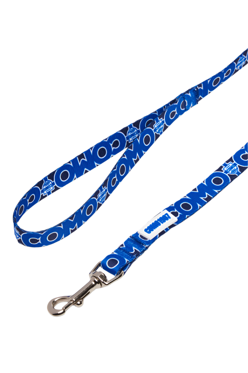 Guinzaglio Regular Blu Como 1907