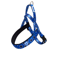 Pettorina Norvegese Blu Como 1907