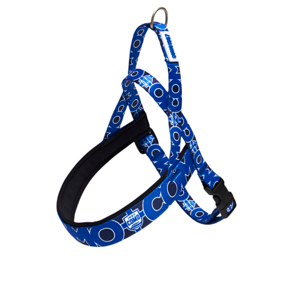 Pettorina Norvegese Blu Como 1907