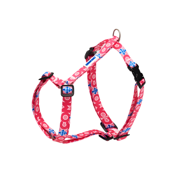 Pettorina H Cani Rosa Como 1907