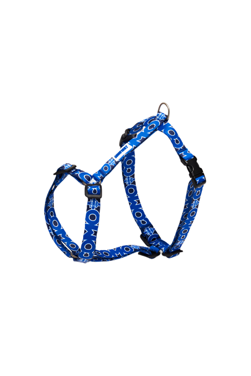 Pettorina H Cani Blu Como 1907