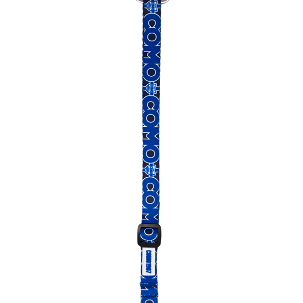 Cintura Sicurezza Cani Blu Como 1907