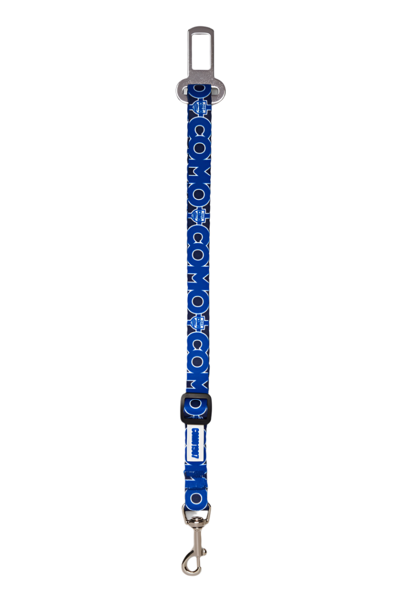 Cintura Sicurezza Cani Blu Como 1907