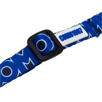 Cintura Sicurezza Cani Blu Como 1907