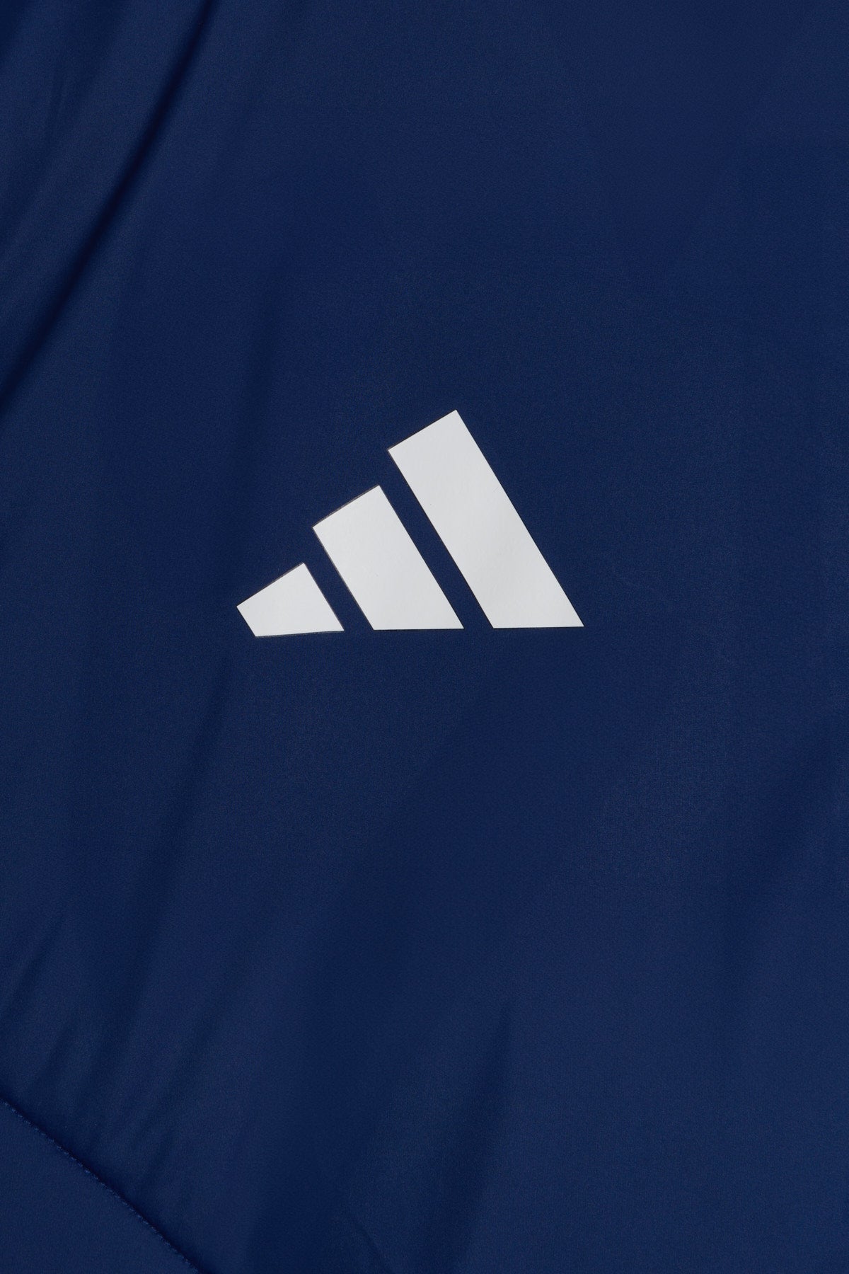 Gilet Allenamento 2024/2025 Como 1907