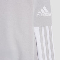 Felpa Crewneck Grigia Logo Adidas X Como 1907