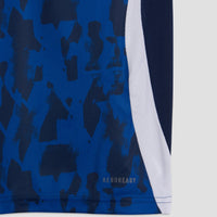 Maglia Pre-match 2024/2025